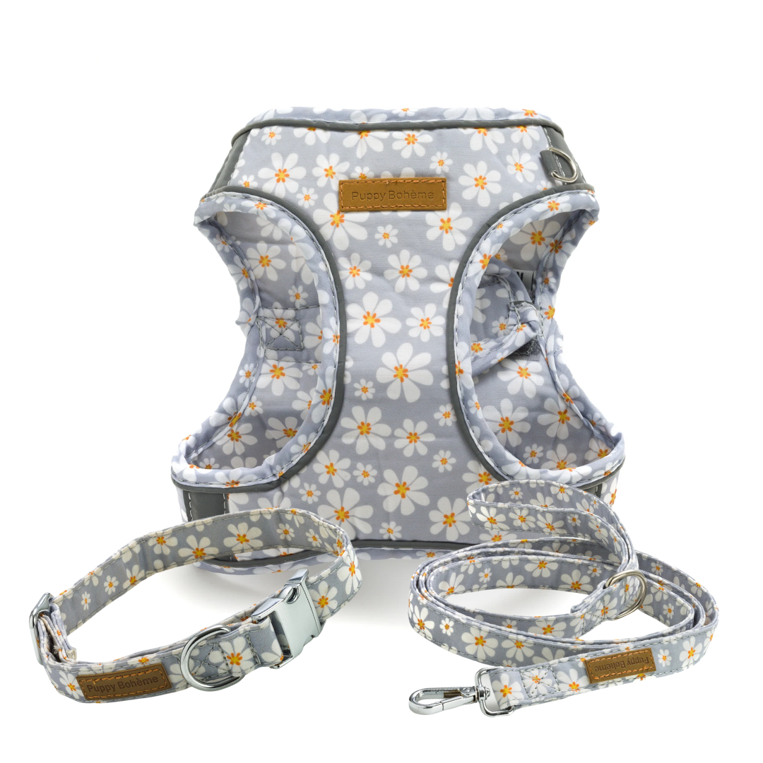 Blossom Set: Halsband, koppel, och step-in sele