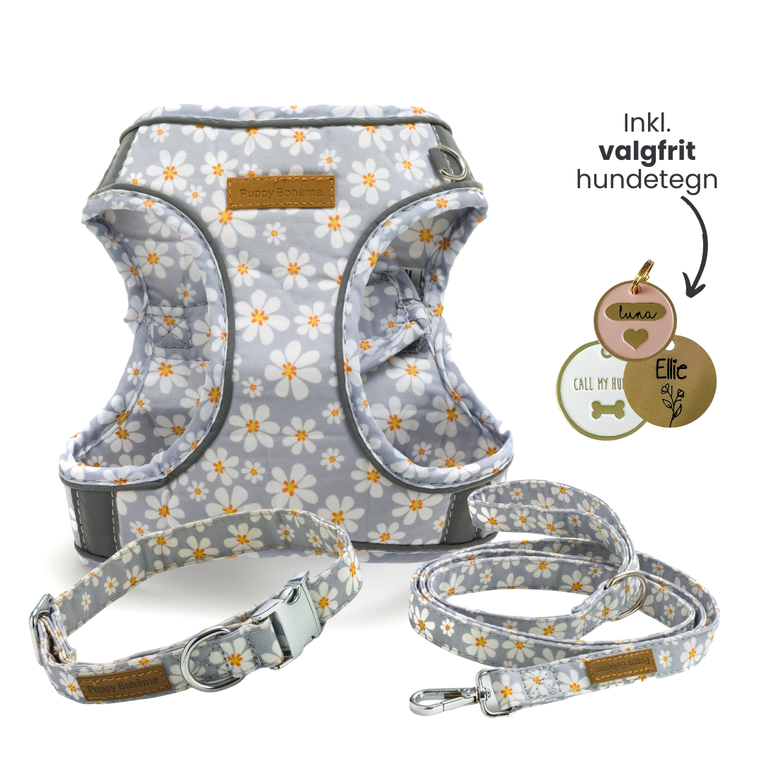 Blossom Set: Blossom Set: Halsband, Line och Step-in sele + valfritt hundbricka