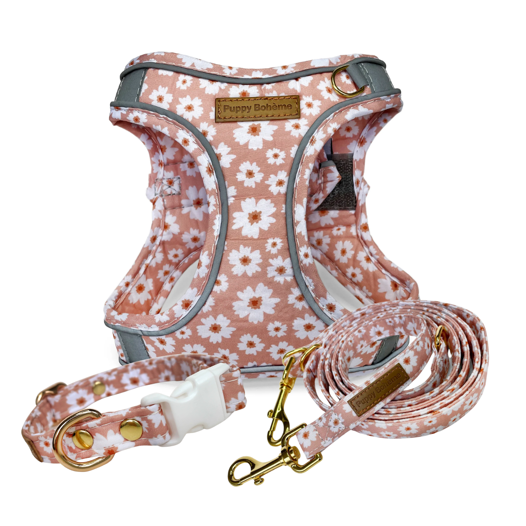 Flora Set: Halsband, koppel, och step-in sele