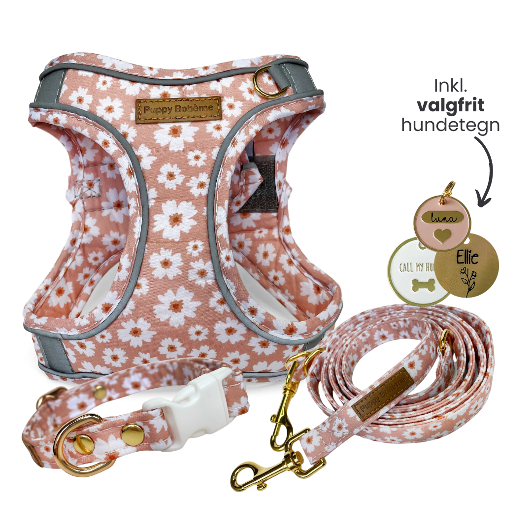 Flora Set: Halsband, Line och Step-in sele + valfritt hundbricka