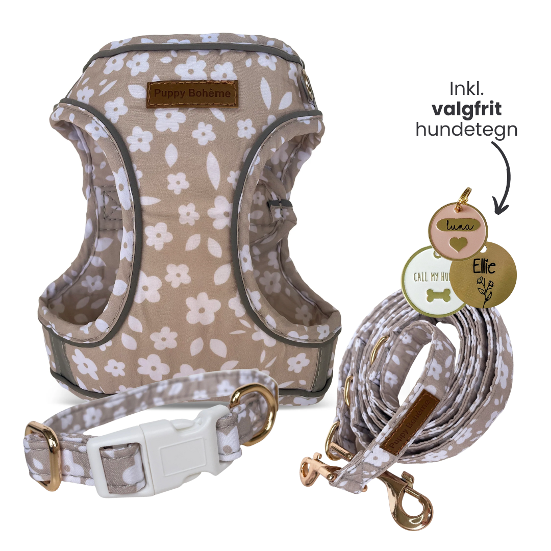 Maybel Set: Halsband, Line och Step-in sele + valfritt hundbricka
