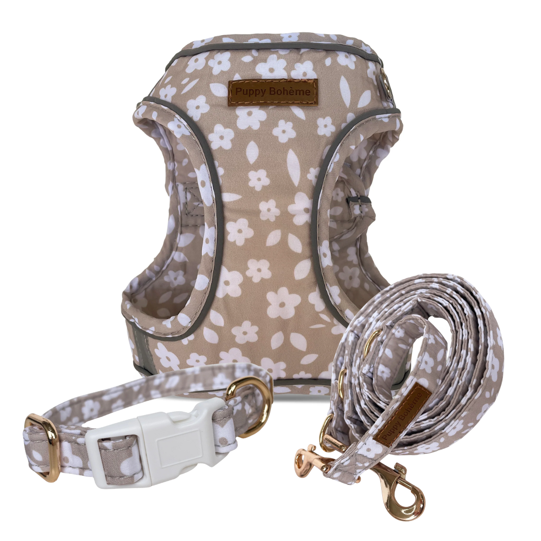 Maybel Set: Halsband, justerbar koppel, och step-in sele