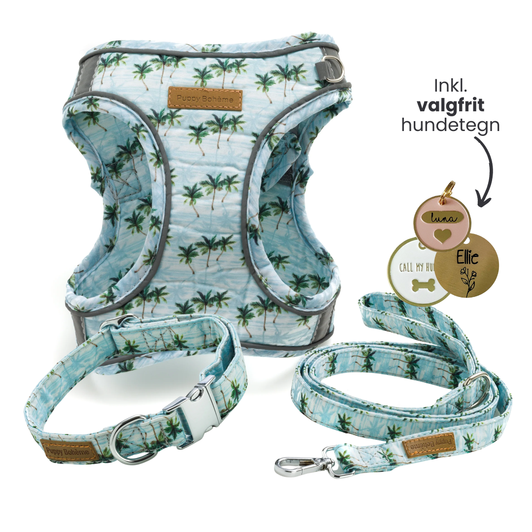 Palms Set: Halsband, Line och Step-in sele + valfritt hundbricka