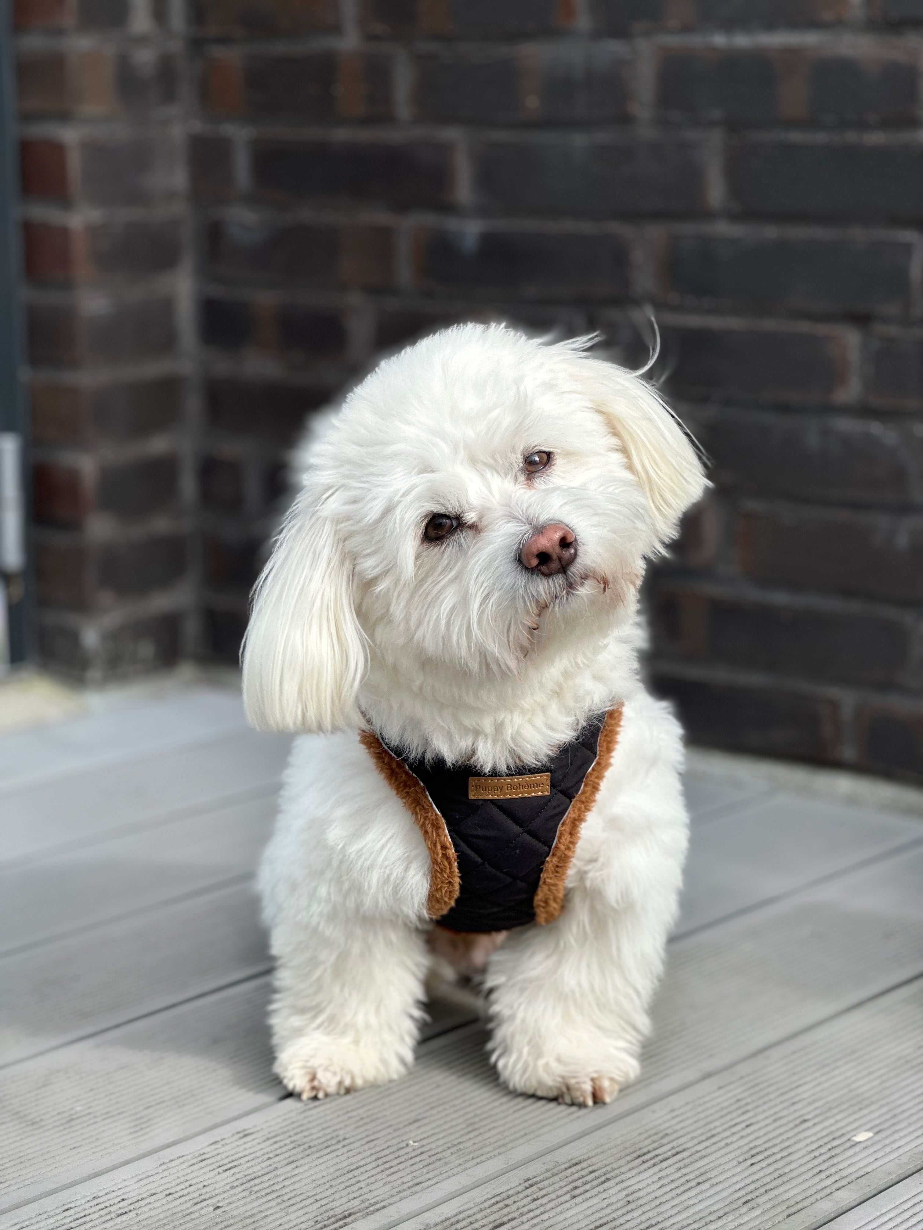 Quiltet Teddy Step-in Sele