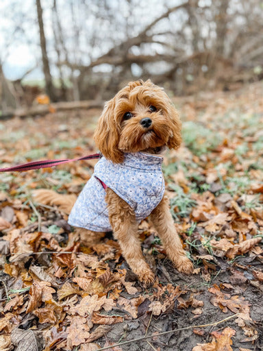 Teddy Vest - Winter Bloom