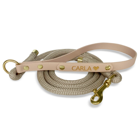 Collars and leashes with engraving