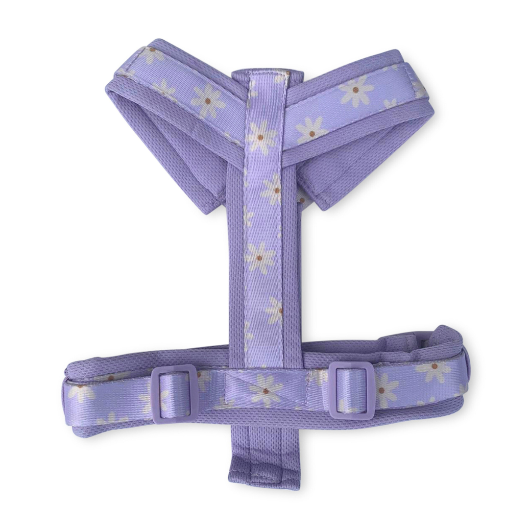 NEW Daisy Y harness