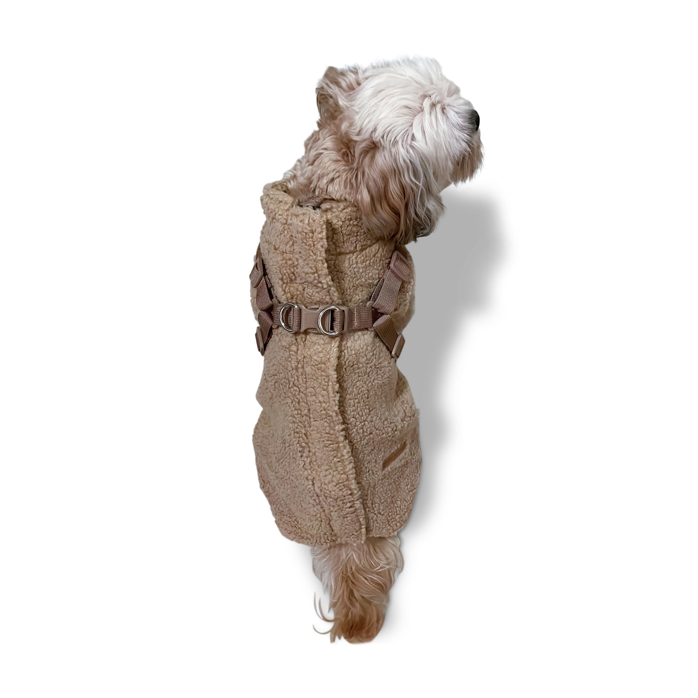 NEW Teddy coat with harness