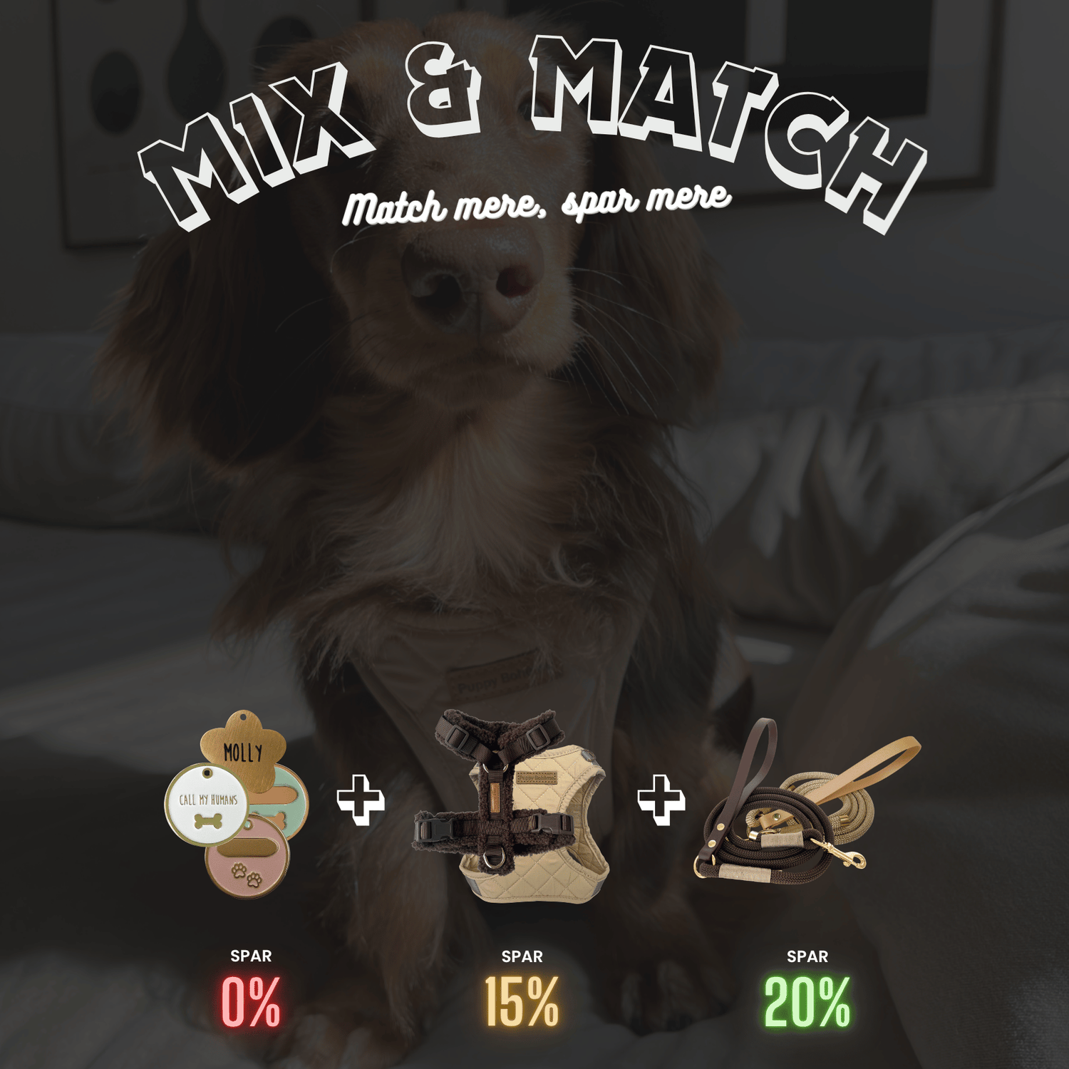 Puppy Bohème