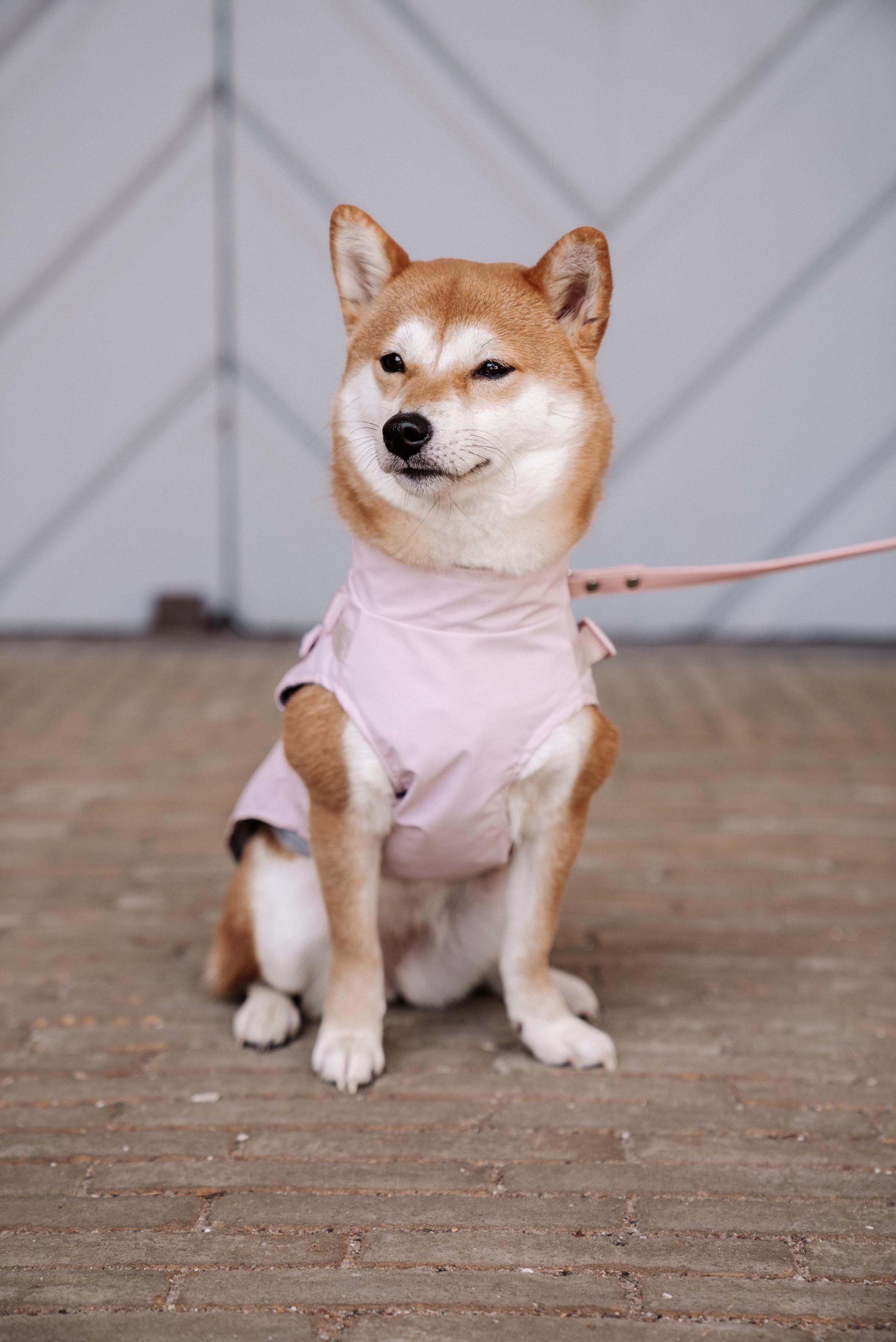 Regnjakke pastel rosa