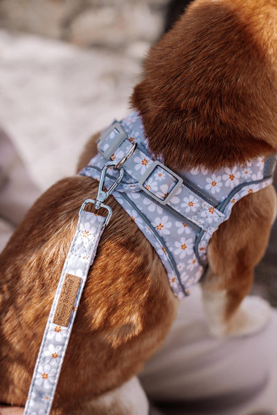 Blossom step-in harness
