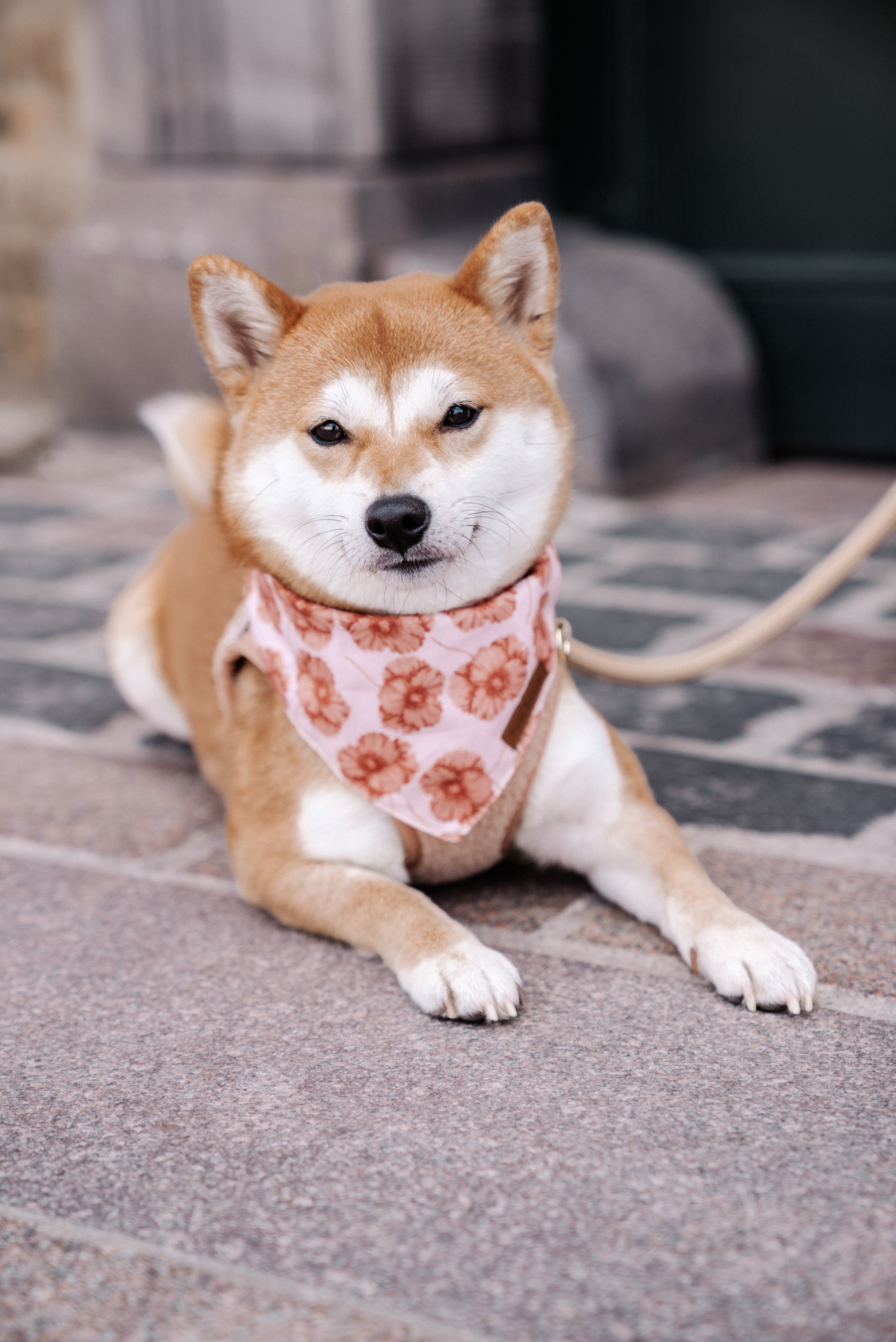 Flora Bandana