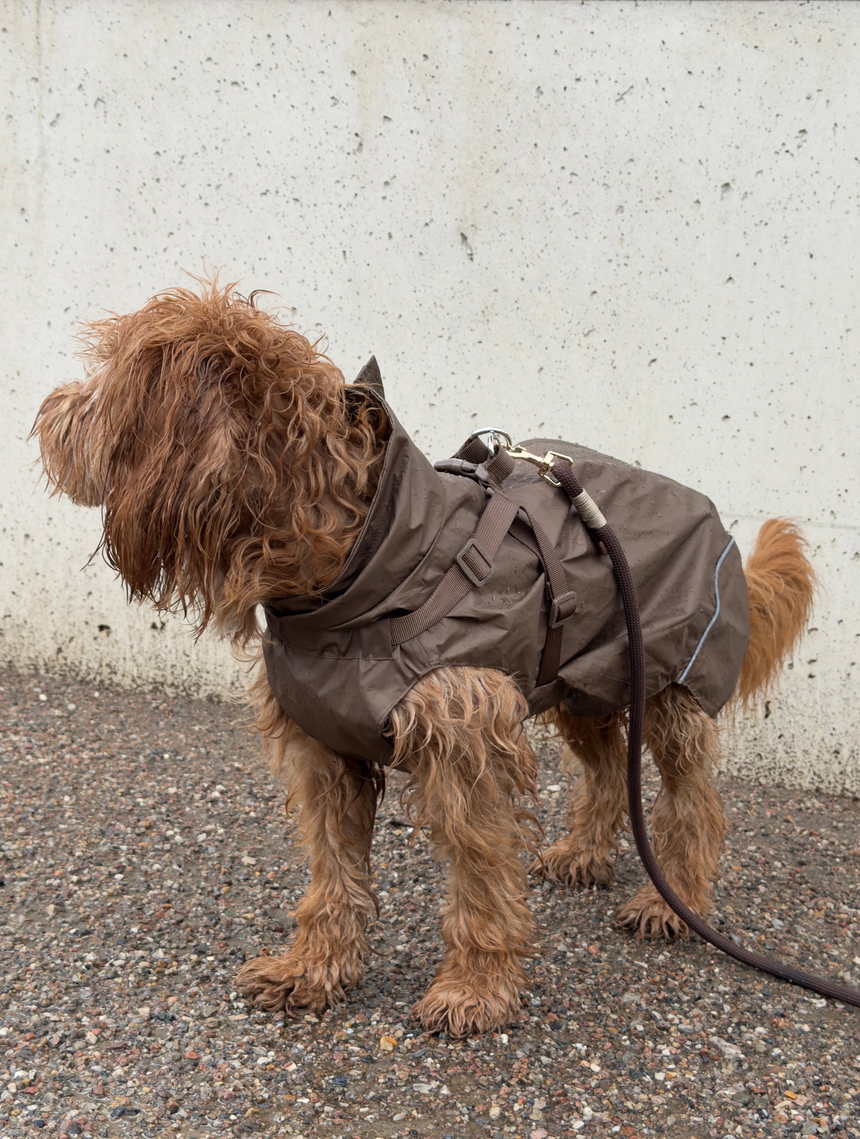 Raincoat choco without sleeves