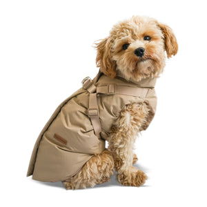 NEW IN: Winter coat with harness - Café latte