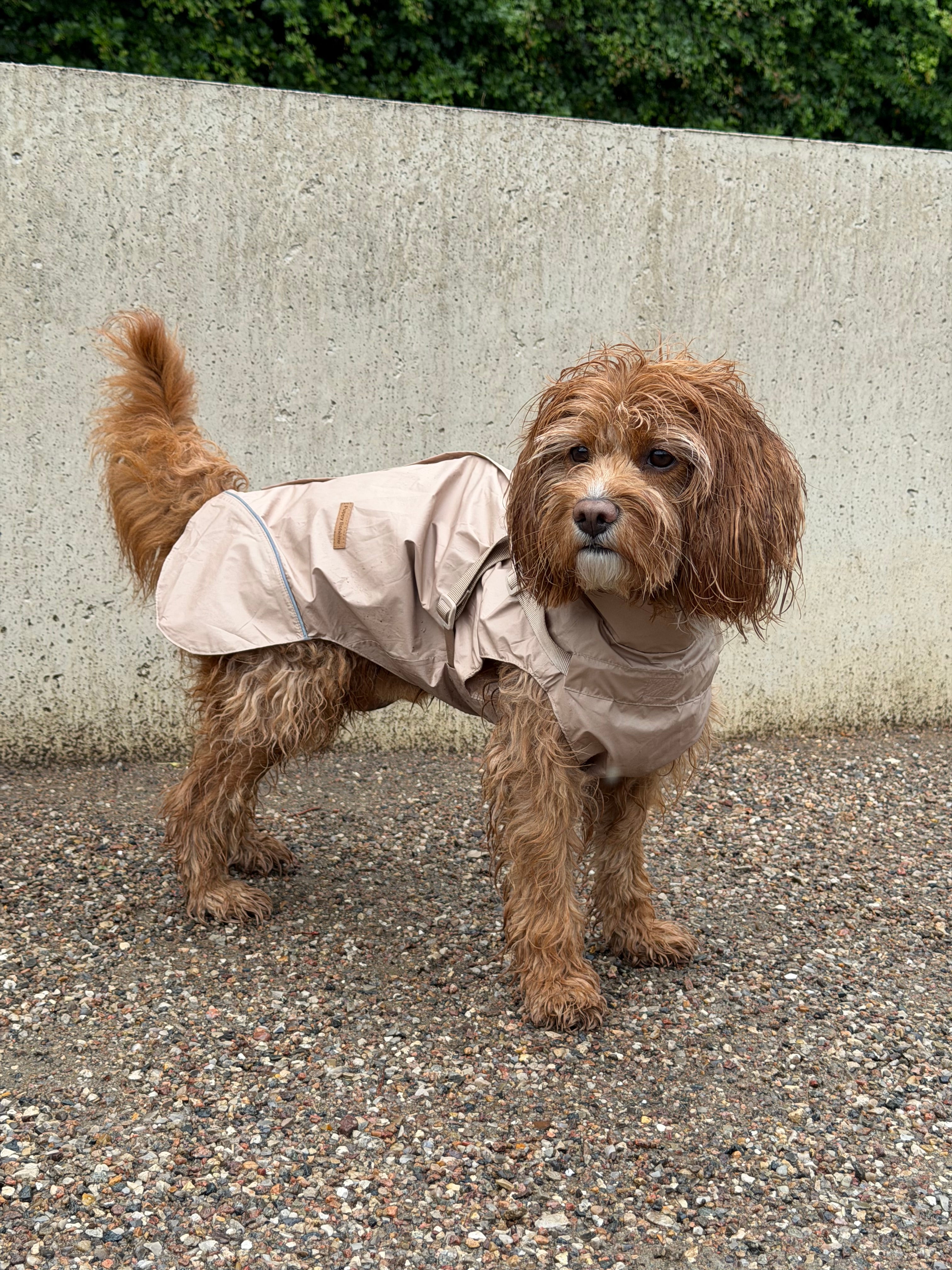 Raincoat sand without sleeves