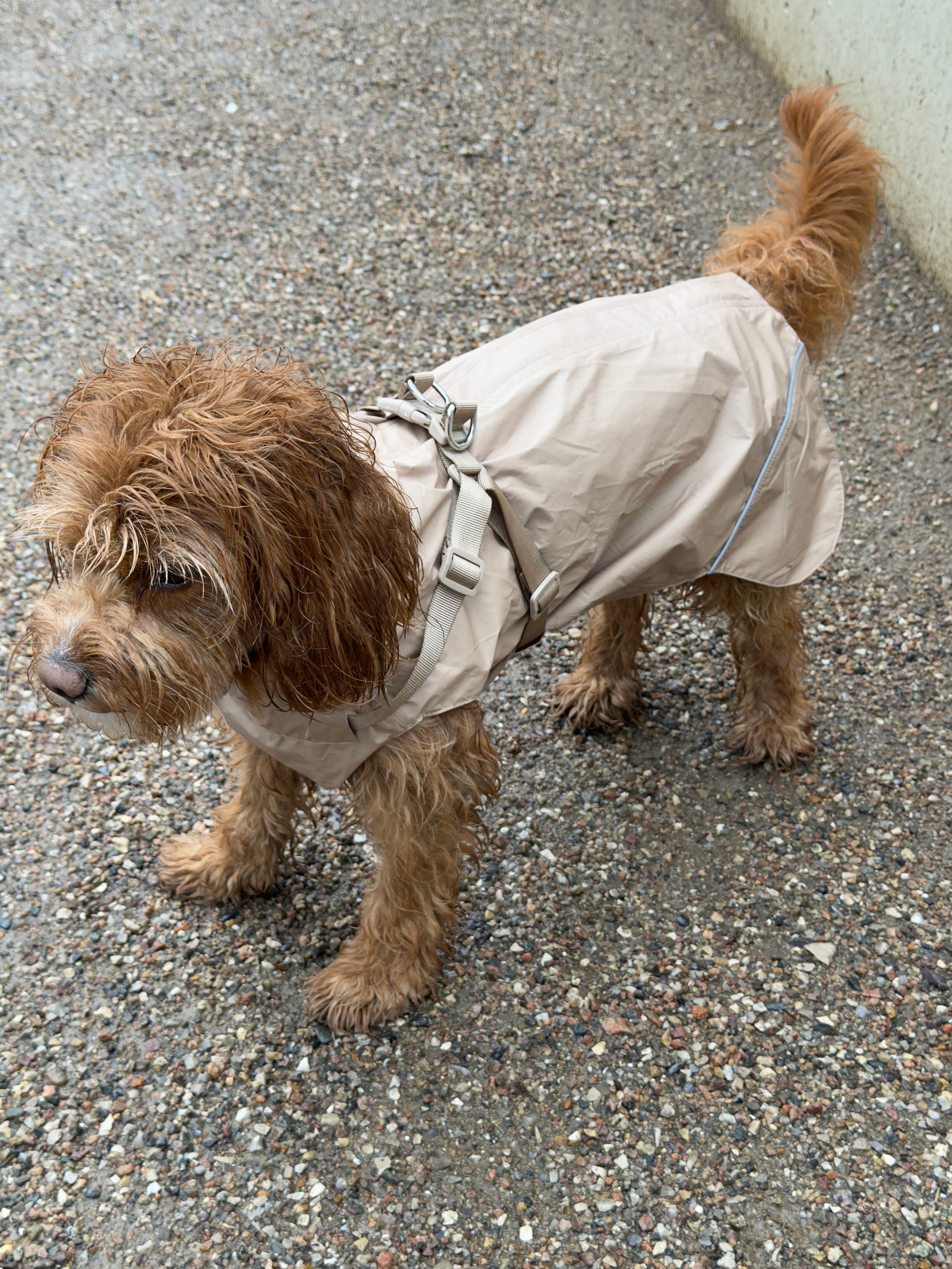 Raincoat sand without sleeves