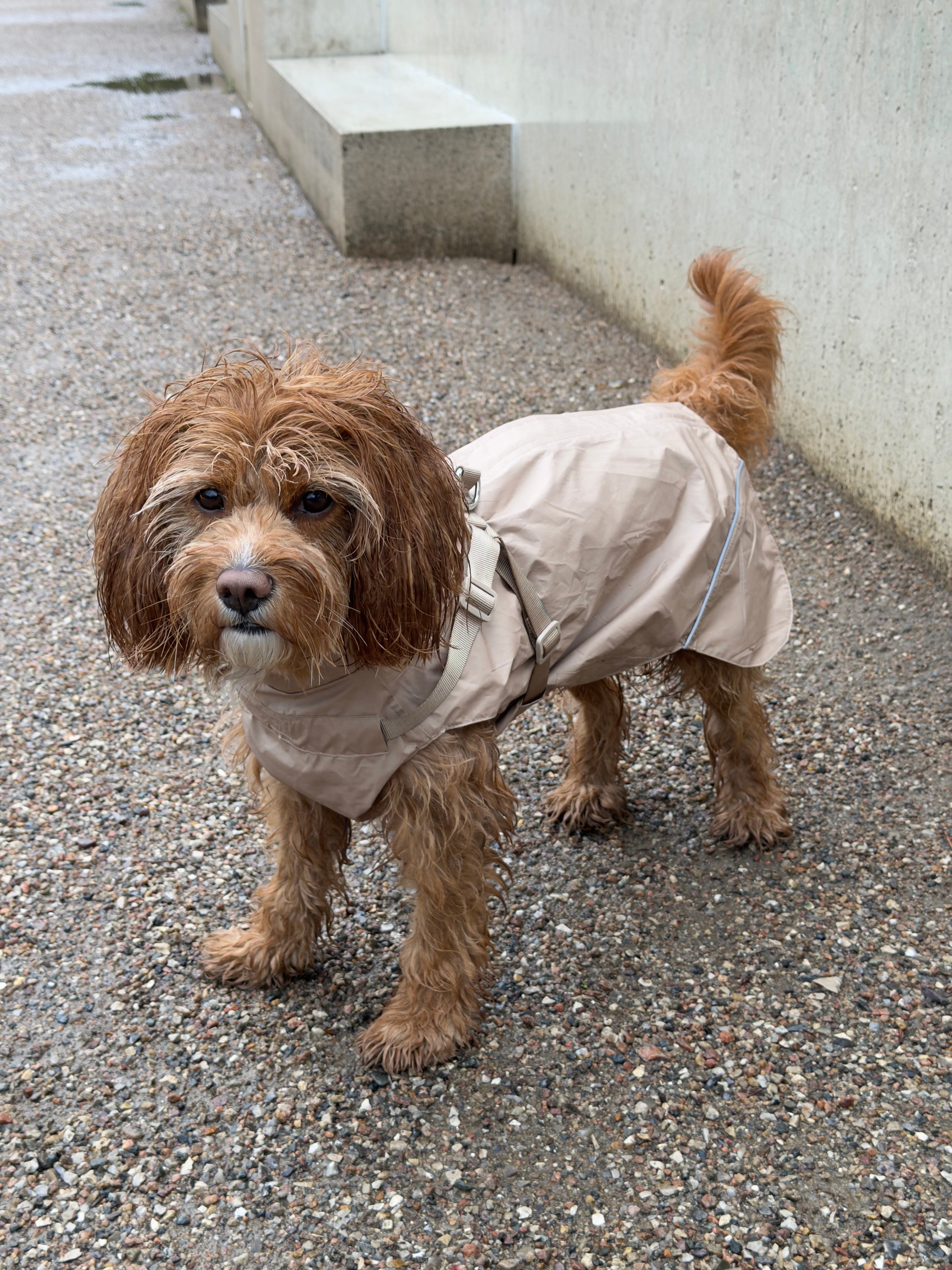 Raincoat sand without sleeves