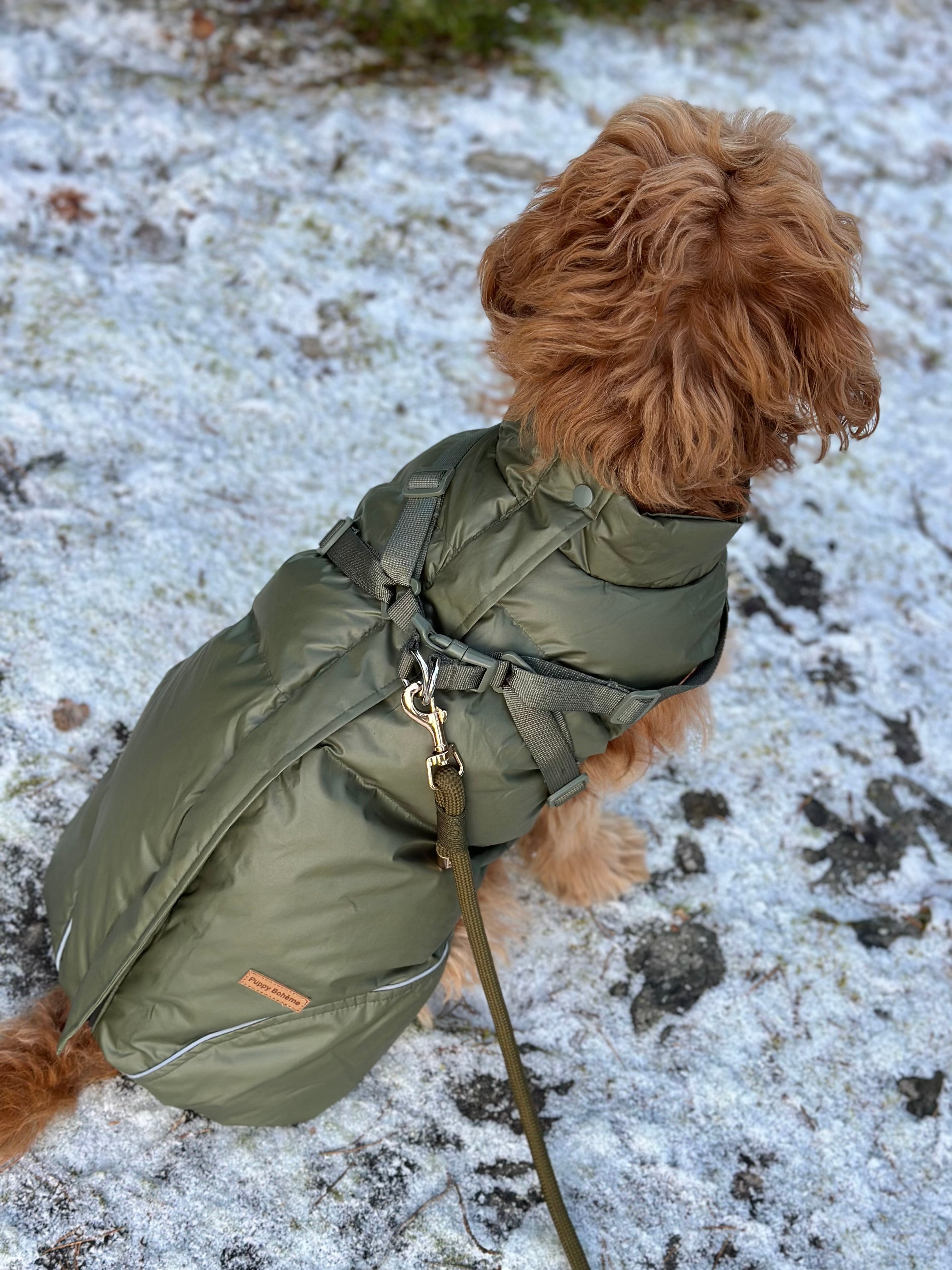 Vinterjacka med sele - Forest Green