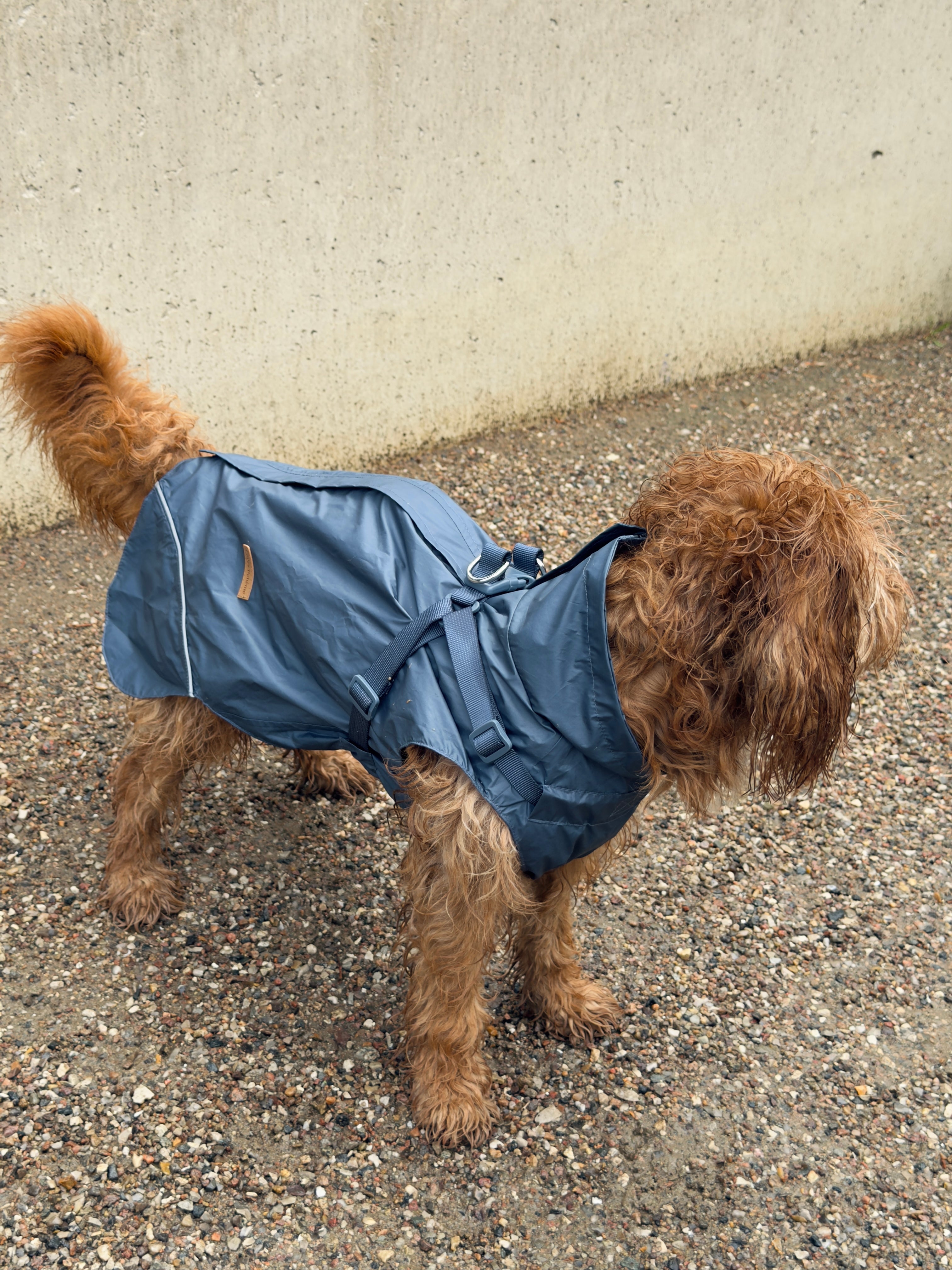 Raincoat petrol blue without sleeves