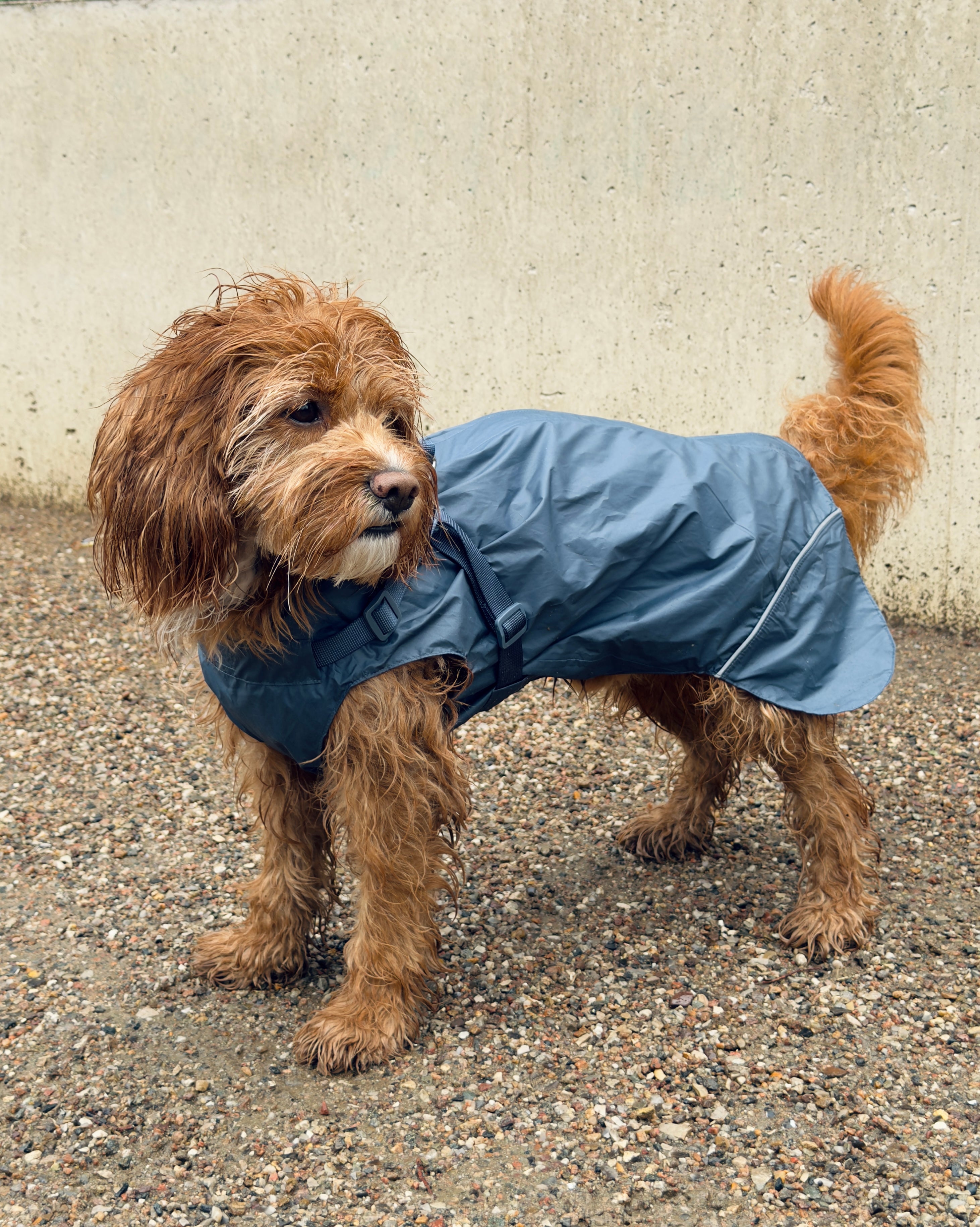 Raincoat petrol blue without sleeves