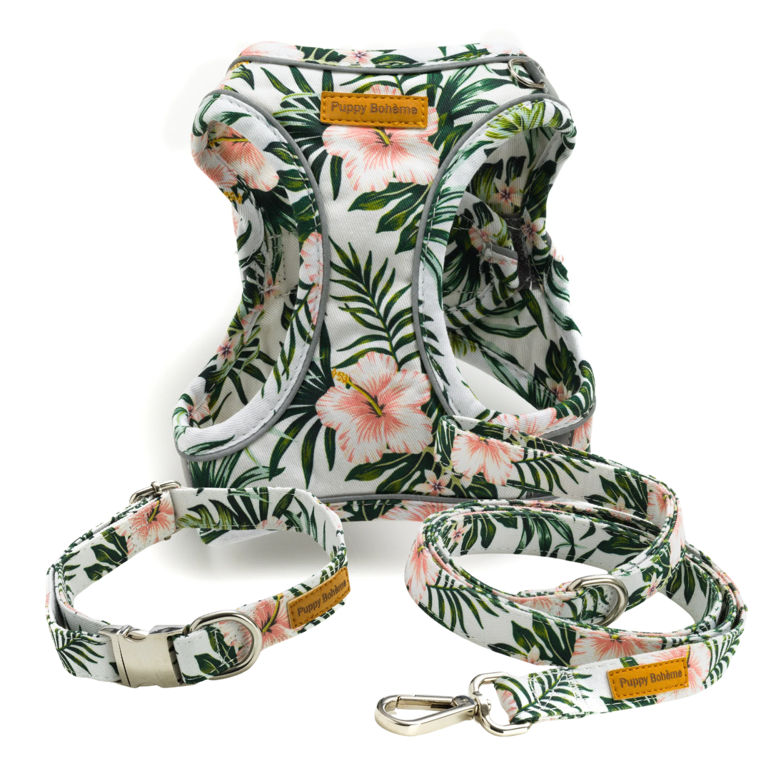 Tropical Set: Collar, Line and Step-in Harness