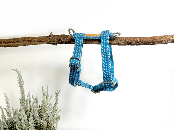 Aztec strap-harness
