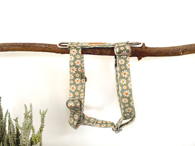 Daisy strap-harness