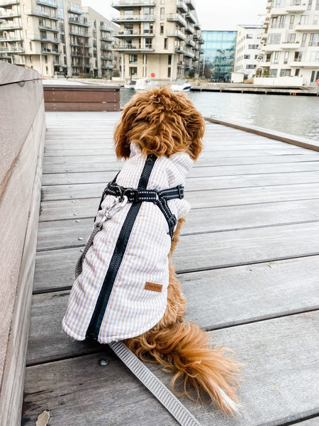 Jacket with harness - Bailey